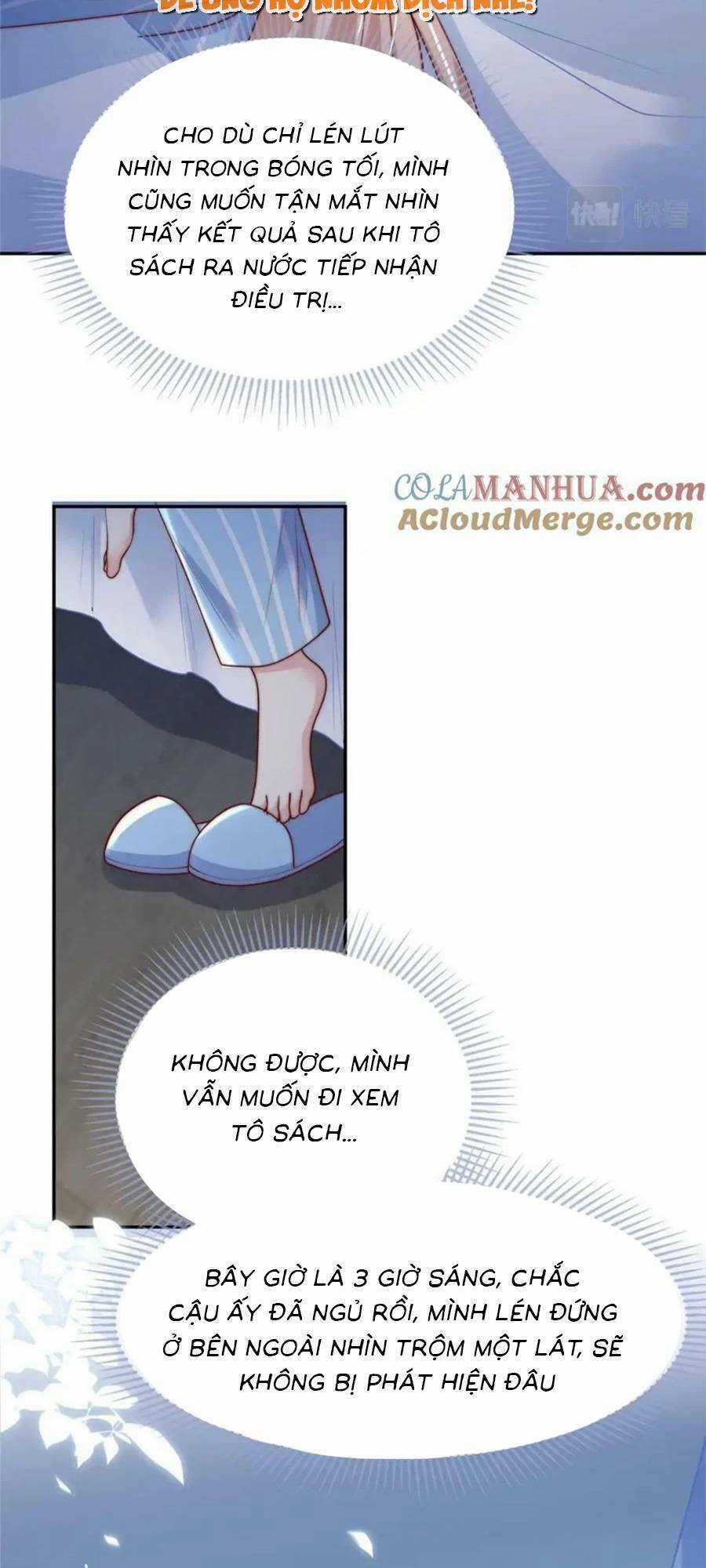 Tôi Được Năm Đại Lão Chiều Chuộng Hết Nấc Chapter 148 trang 6