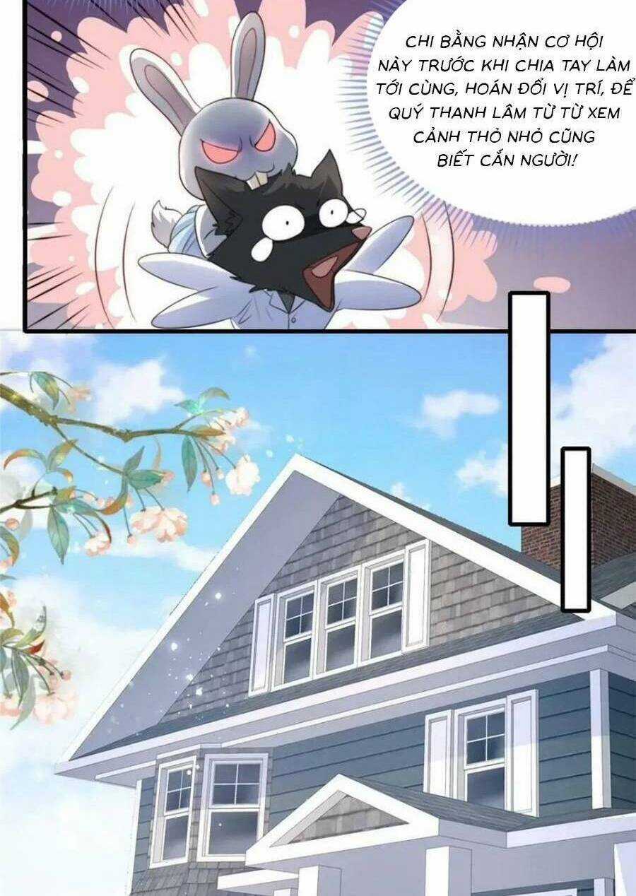 Tôi Được Năm Đại Lão Chiều Chuộng Hết Nấc Chapter 152 trang 3