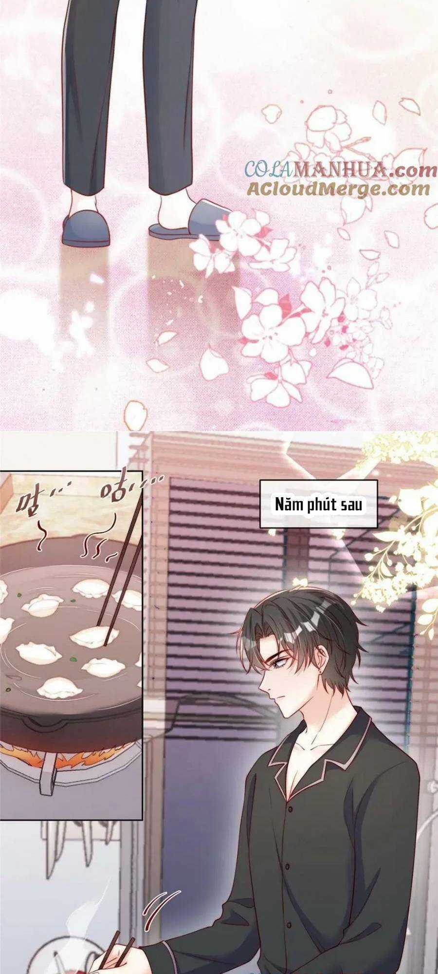 Tôi Được Năm Đại Lão Chiều Chuộng Hết Nấc Chapter 157 trang 5