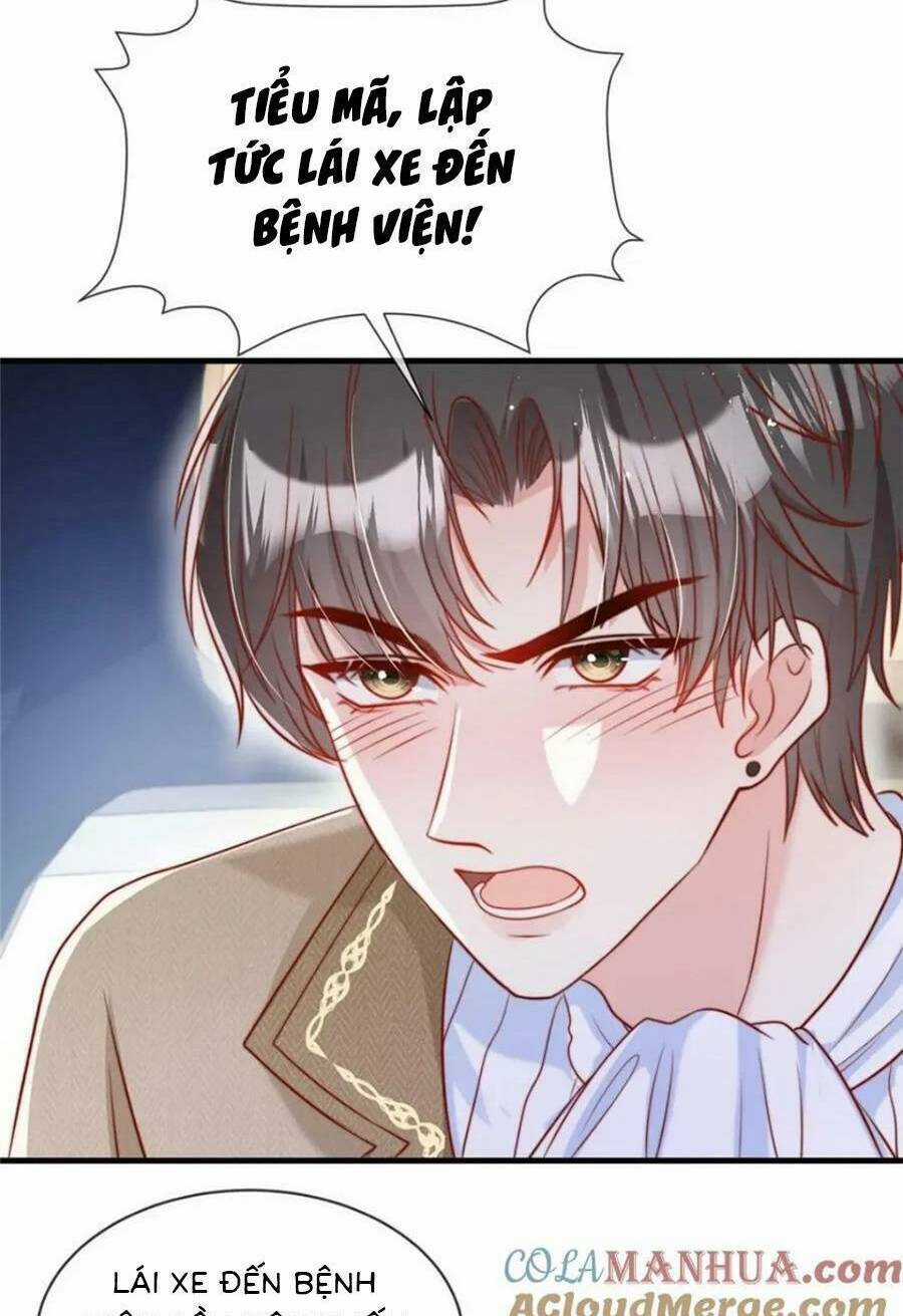 Tôi Được Năm Đại Lão Chiều Chuộng Hết Nấc Chapter 161 trang 15