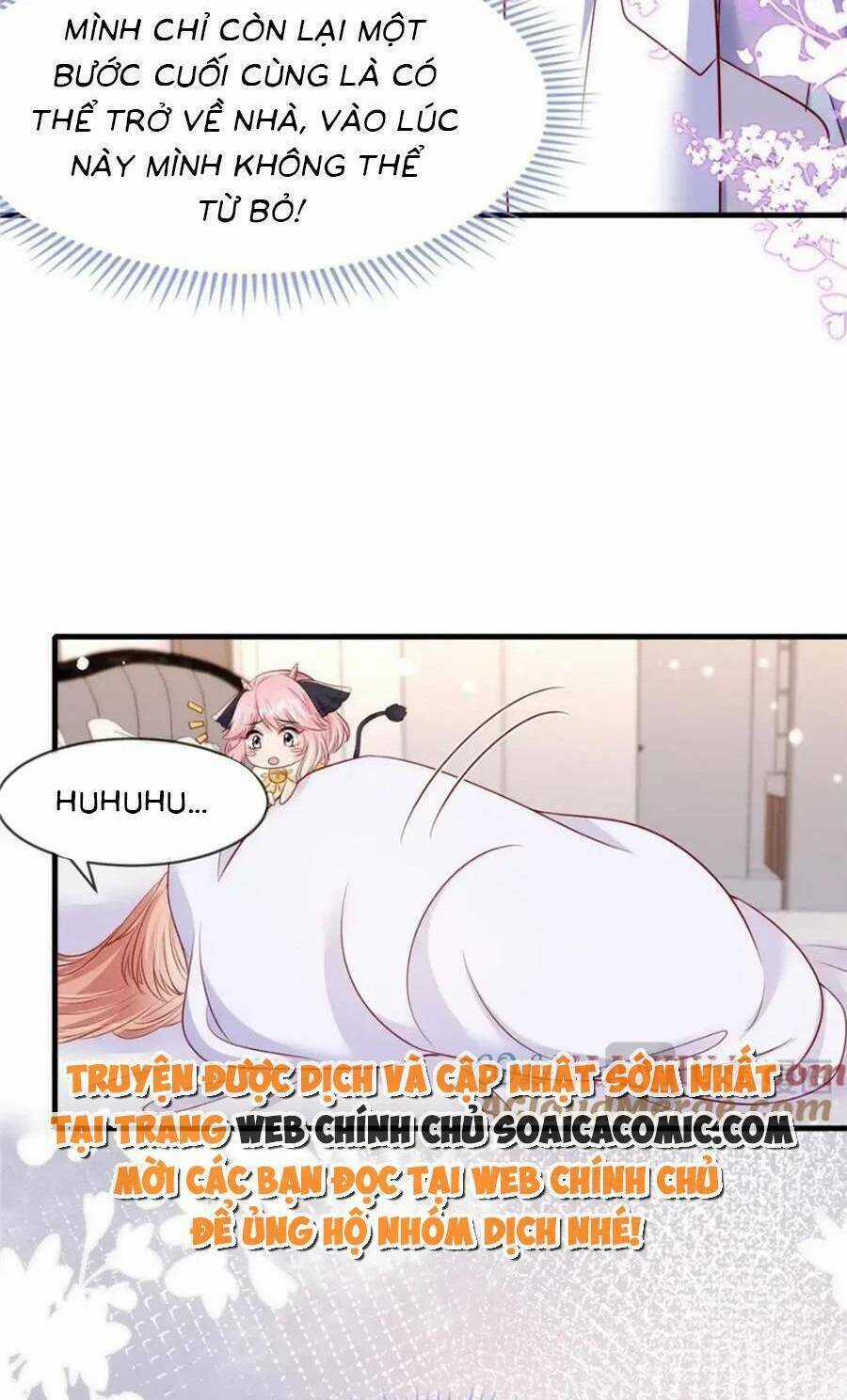 Tôi Được Năm Đại Lão Chiều Chuộng Hết Nấc Chapter 164 trang 4