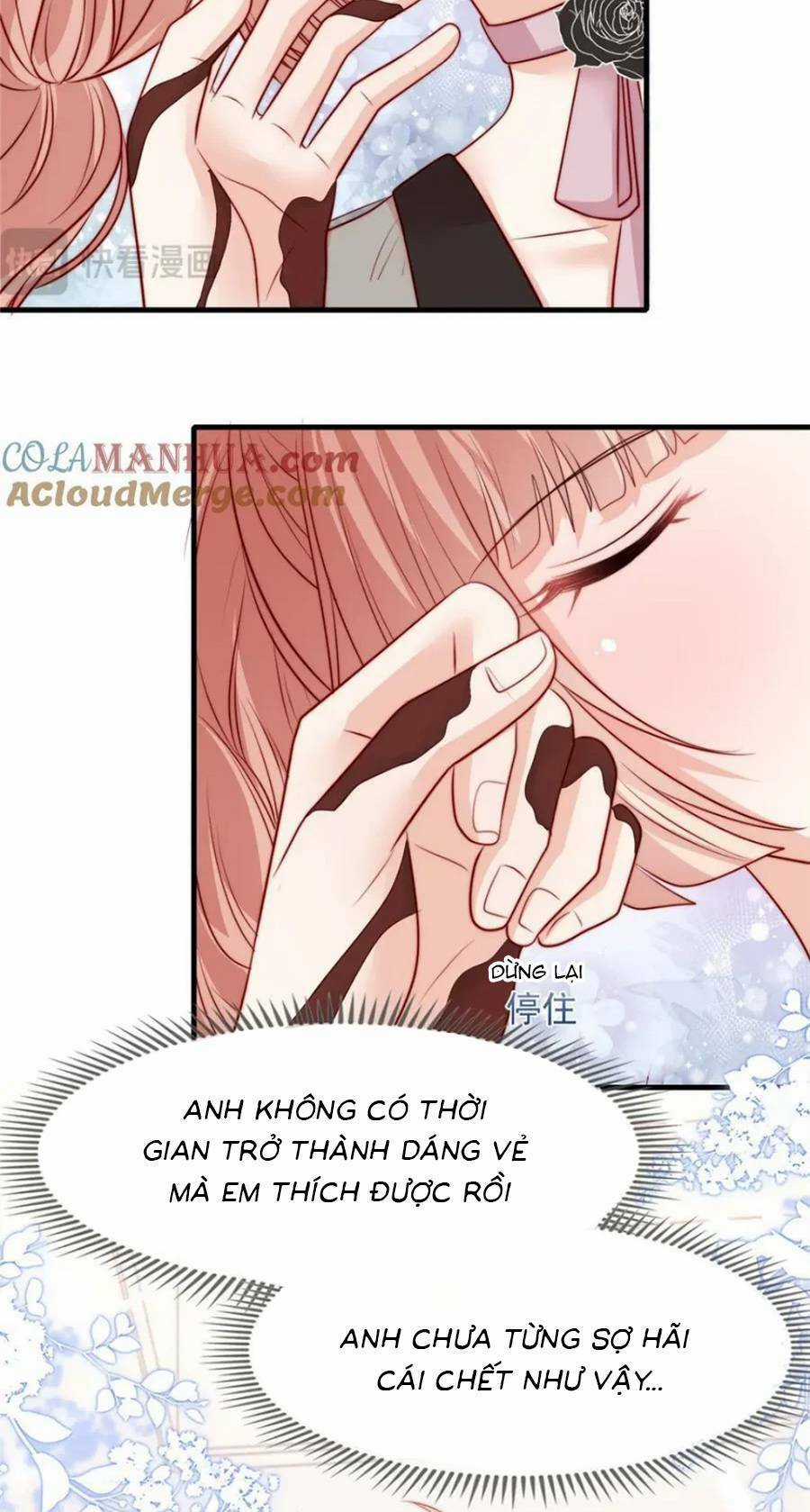 Tôi Được Năm Đại Lão Chiều Chuộng Hết Nấc Chapter 167 trang 20