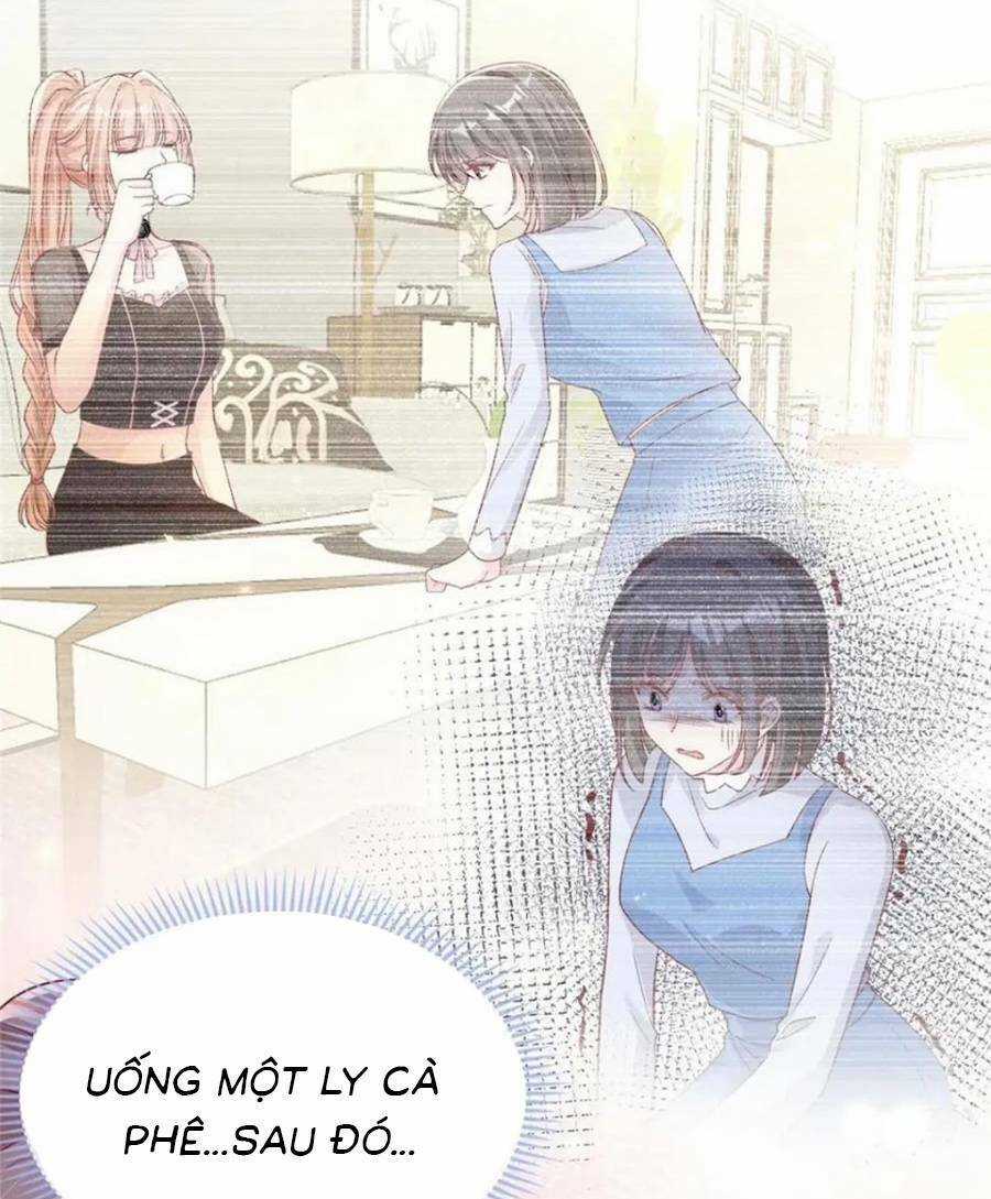 Tôi Được Năm Đại Lão Chiều Chuộng Hết Nấc Chapter 168 trang 10