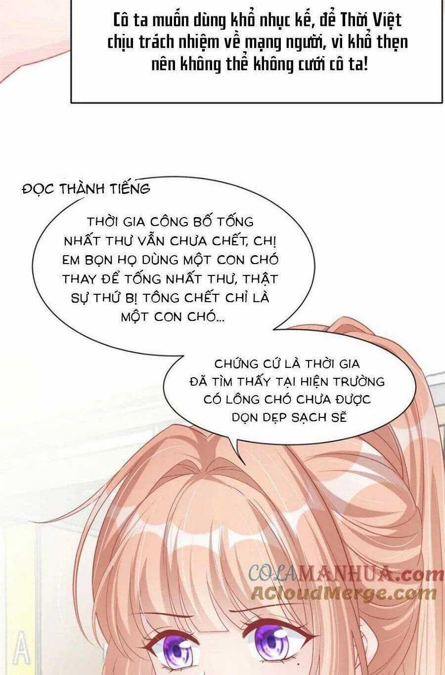 Tôi Được Năm Đại Lão Chiều Chuộng Hết Nấc Chapter 174 trang 19