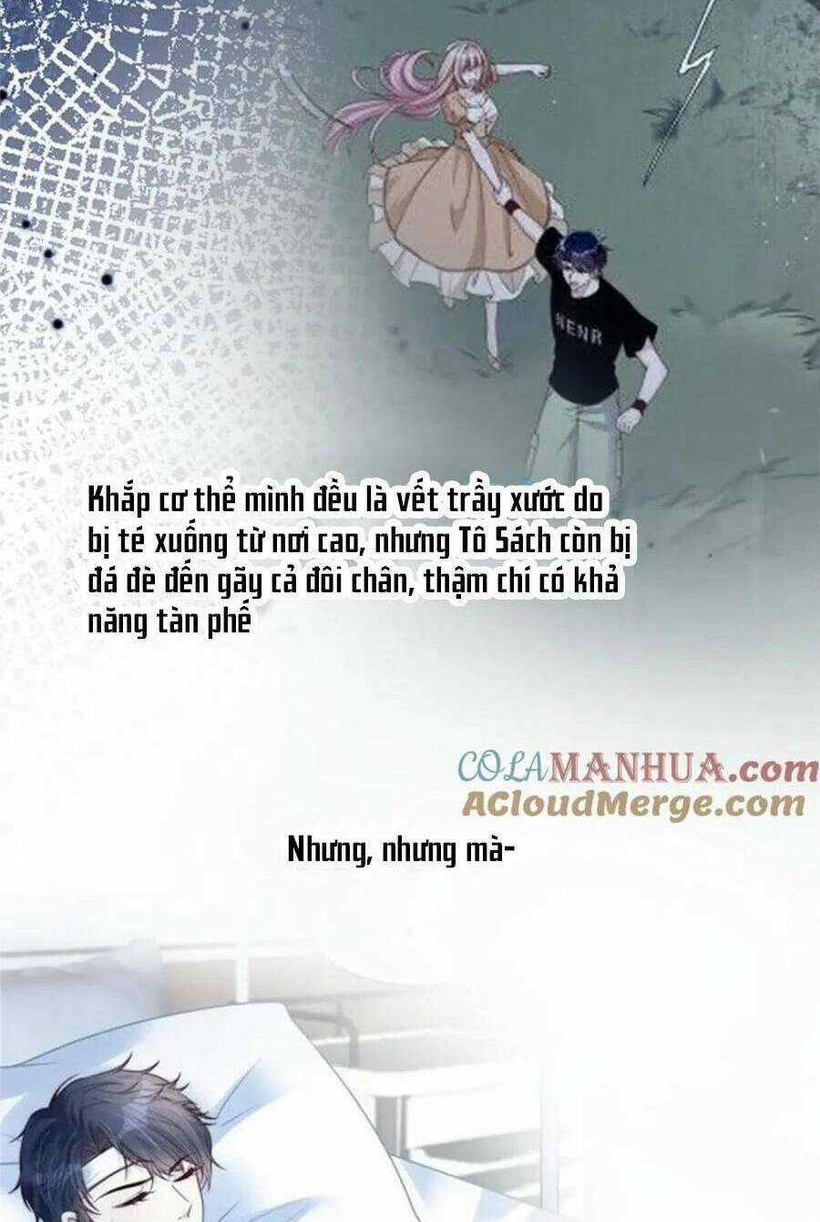 Tôi Được Năm Đại Lão Chiều Chuộng Hết Nấc Chapter 179 trang 7