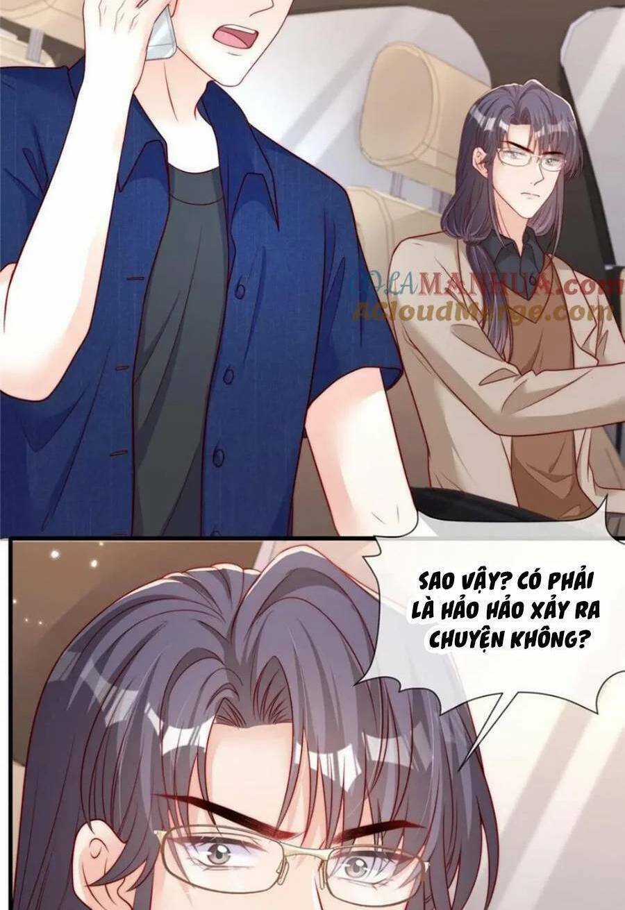 Tôi Được Năm Đại Lão Chiều Chuộng Hết Nấc Chapter 181 trang 12