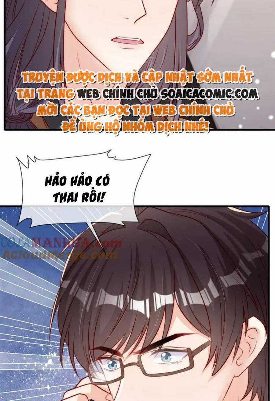 Tôi Được Năm Đại Lão Chiều Chuộng Hết Nấc Chapter 181 trang 13