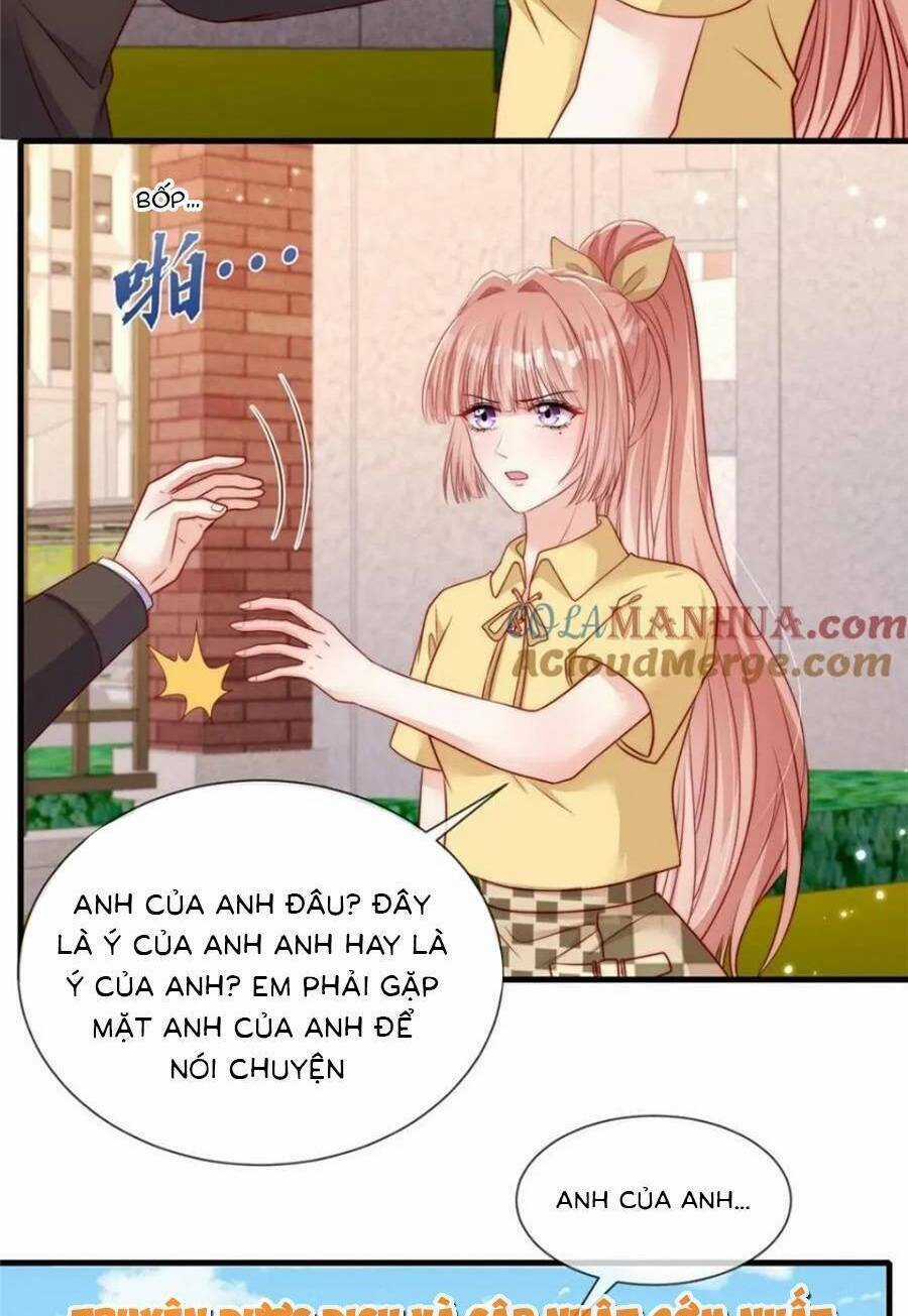 Tôi Được Năm Đại Lão Chiều Chuộng Hết Nấc Chapter 181 trang 24