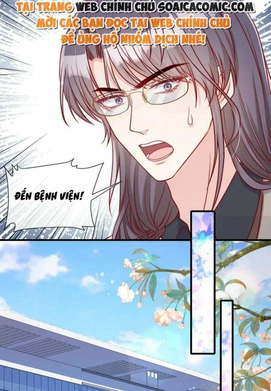 Tôi Được Năm Đại Lão Chiều Chuộng Hết Nấc Chapter 182 trang 11