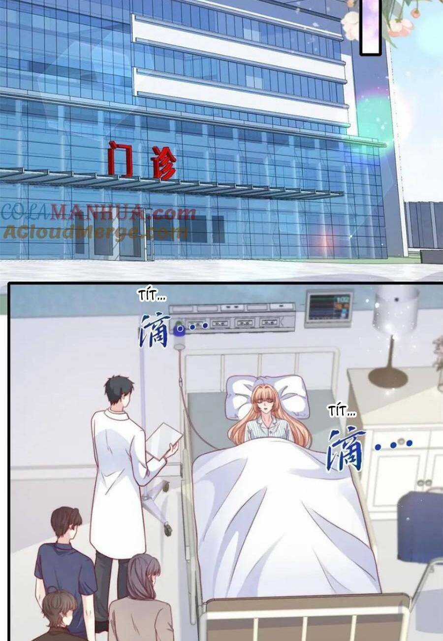 Tôi Được Năm Đại Lão Chiều Chuộng Hết Nấc Chapter 182 trang 12