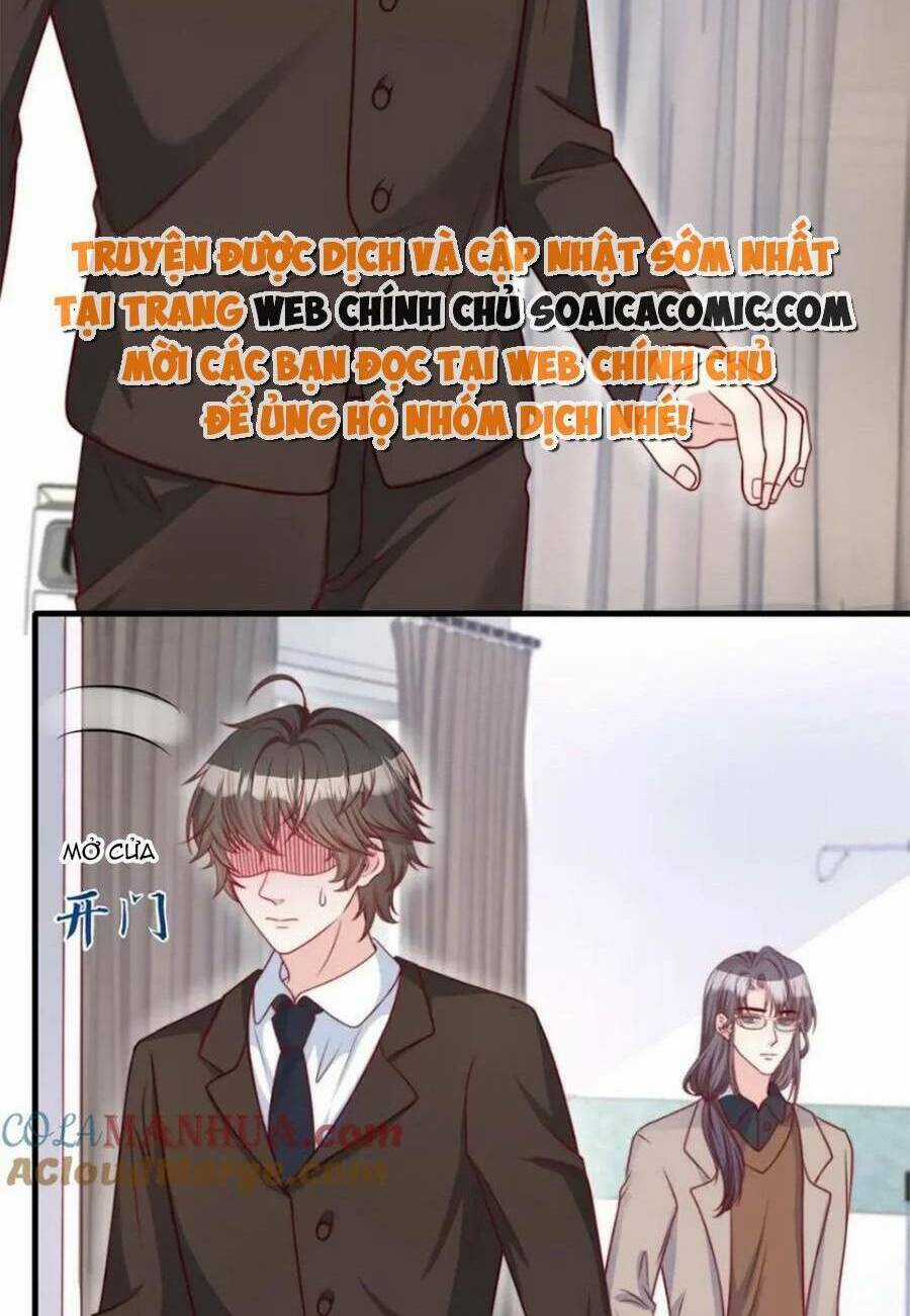 Tôi Được Năm Đại Lão Chiều Chuộng Hết Nấc Chapter 182 trang 17