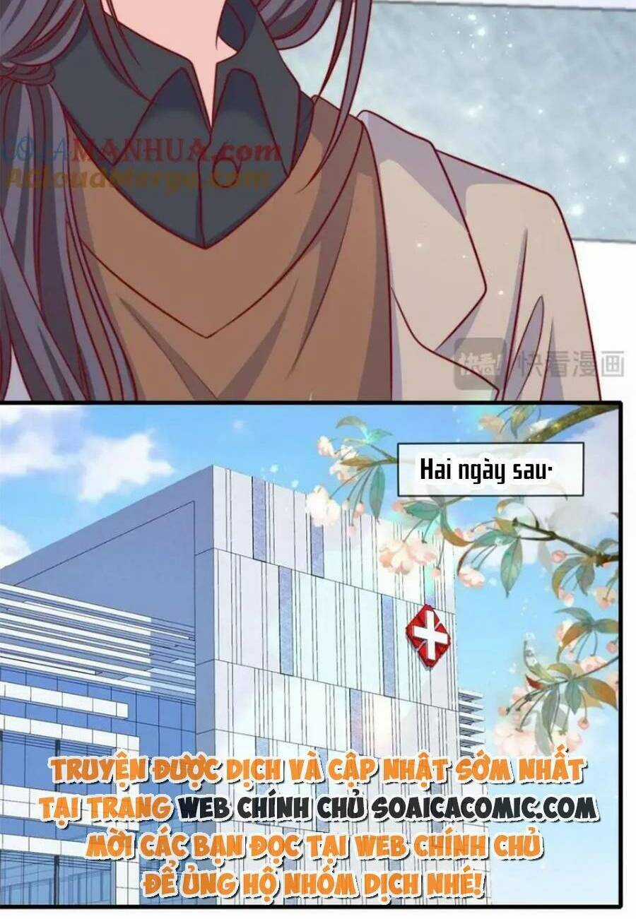 Tôi Được Năm Đại Lão Chiều Chuộng Hết Nấc Chapter 182 trang 19