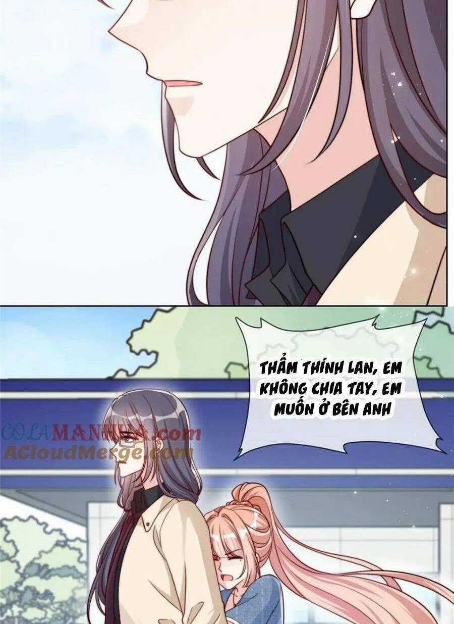 Tôi Được Năm Đại Lão Chiều Chuộng Hết Nấc Chapter 184 trang 11