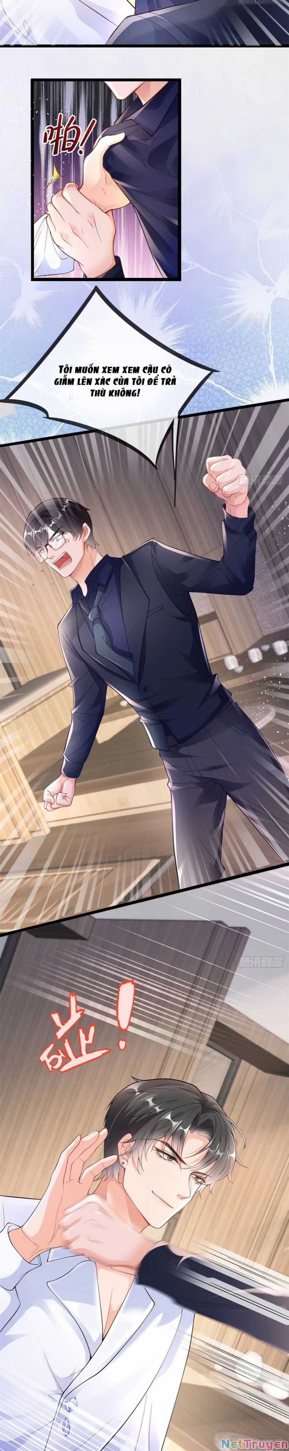 Tôi Được Năm Đại Lão Chiều Chuộng Hết Nấc Chapter 2 trang 3