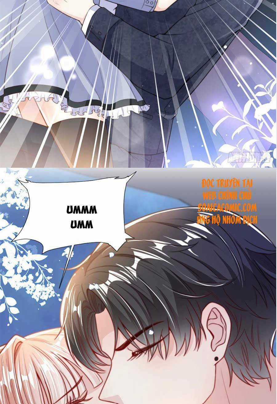 Tôi Được Năm Đại Lão Chiều Chuộng Hết Nấc Chapter 24 trang 12