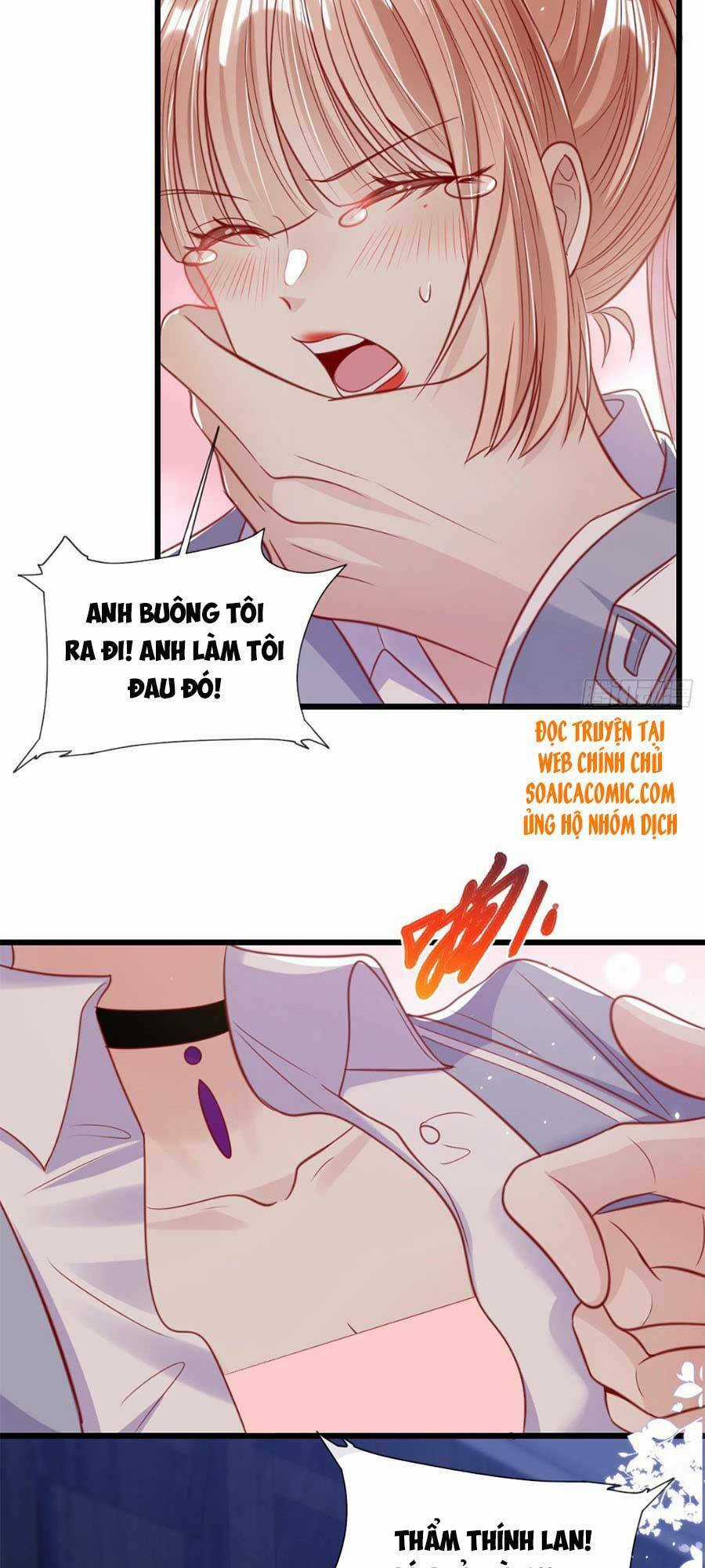 Tôi Được Năm Đại Lão Chiều Chuộng Hết Nấc Chapter 25 trang 17