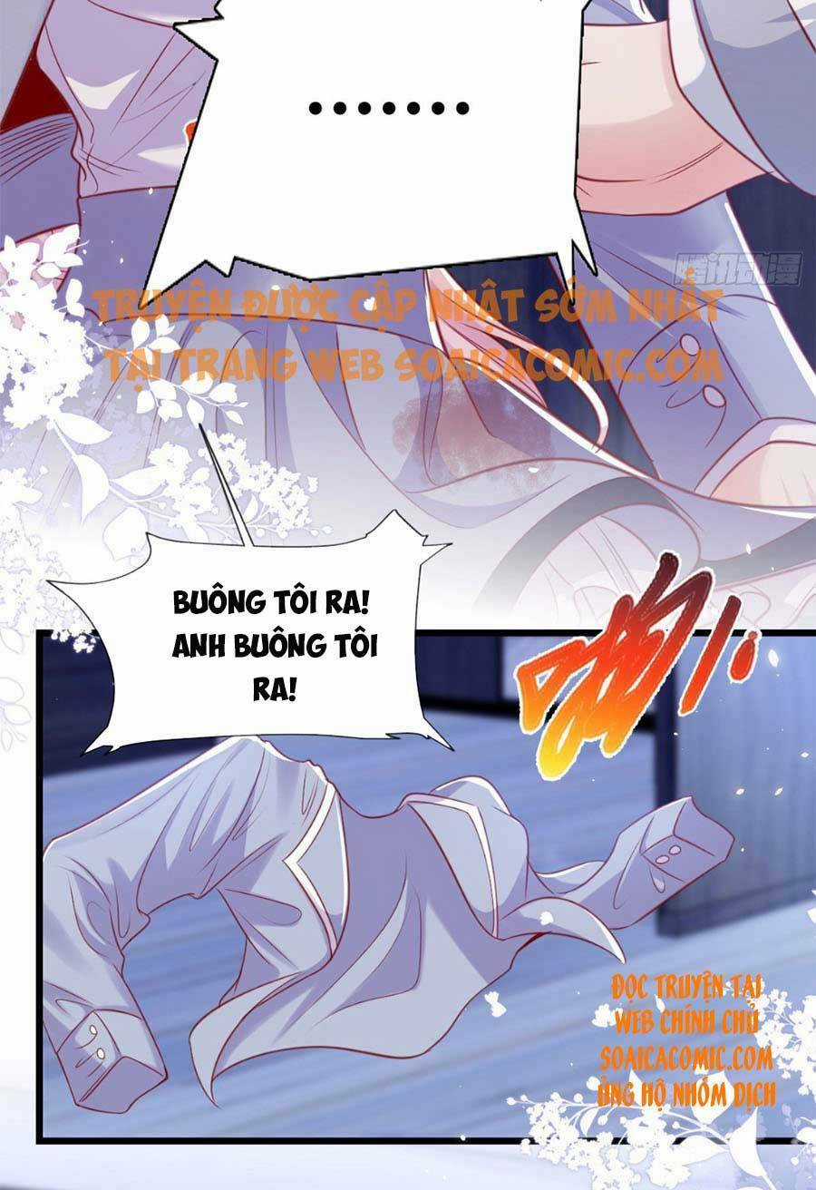 Tôi Được Năm Đại Lão Chiều Chuộng Hết Nấc Chapter 25 trang 19