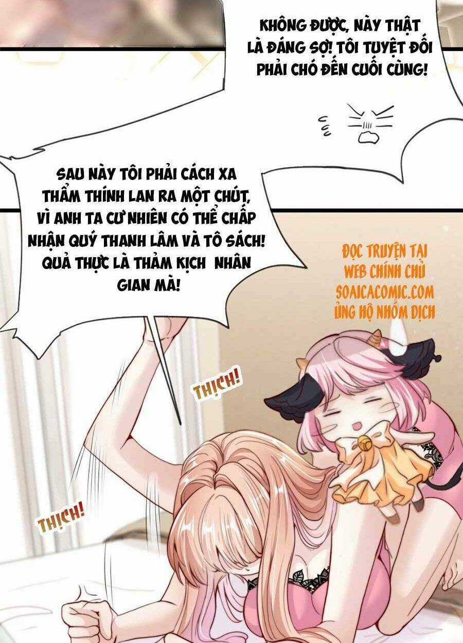 Tôi Được Năm Đại Lão Chiều Chuộng Hết Nấc Chapter 27 trang 27