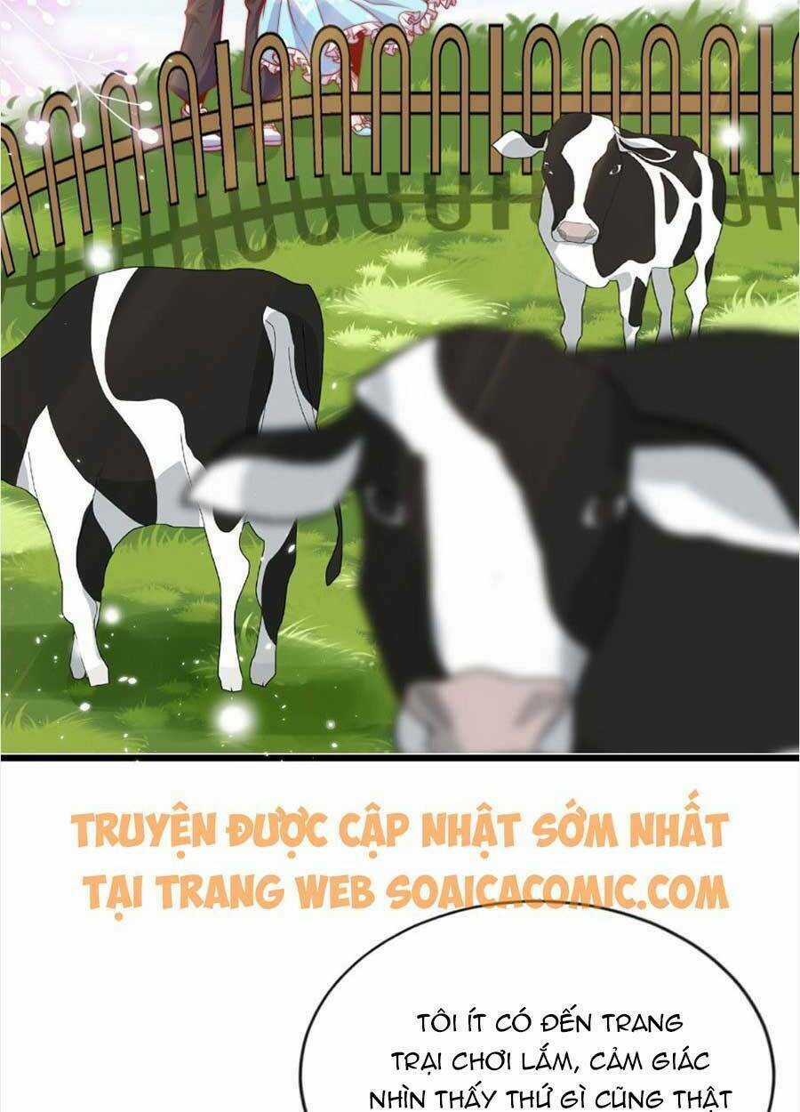 Tôi Được Năm Đại Lão Chiều Chuộng Hết Nấc Chapter 28 trang 15