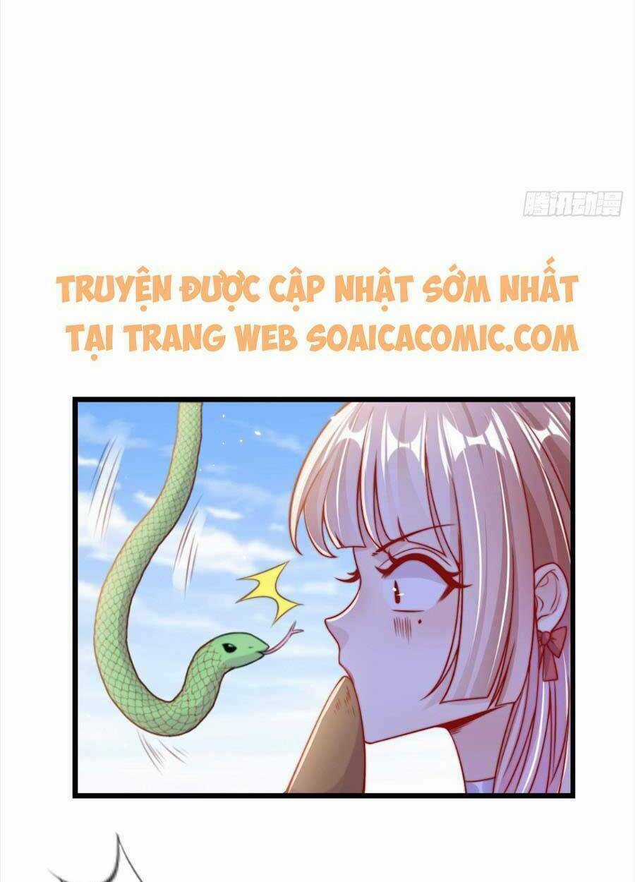 Tôi Được Năm Đại Lão Chiều Chuộng Hết Nấc Chapter 28 trang 24