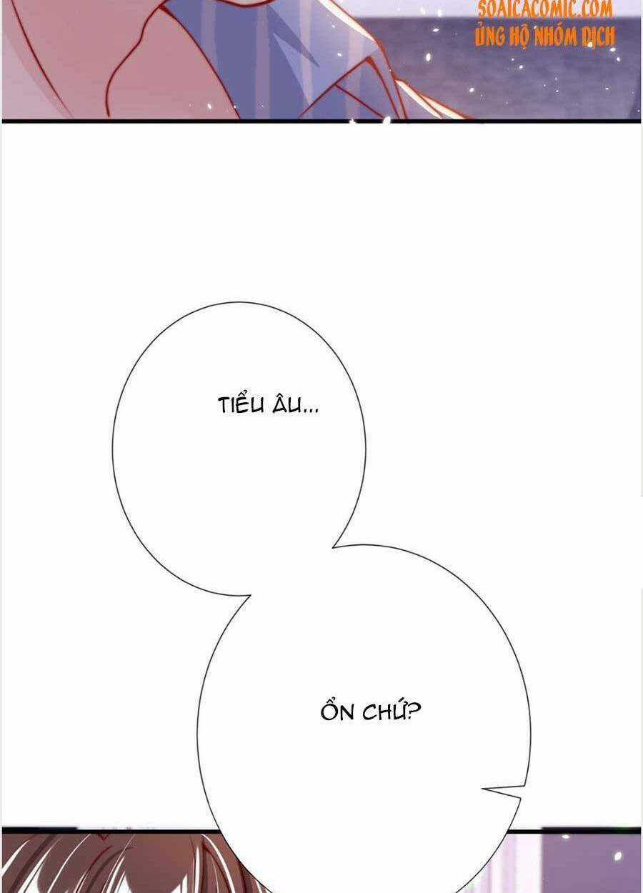 Tôi Được Năm Đại Lão Chiều Chuộng Hết Nấc Chapter 29 trang 11