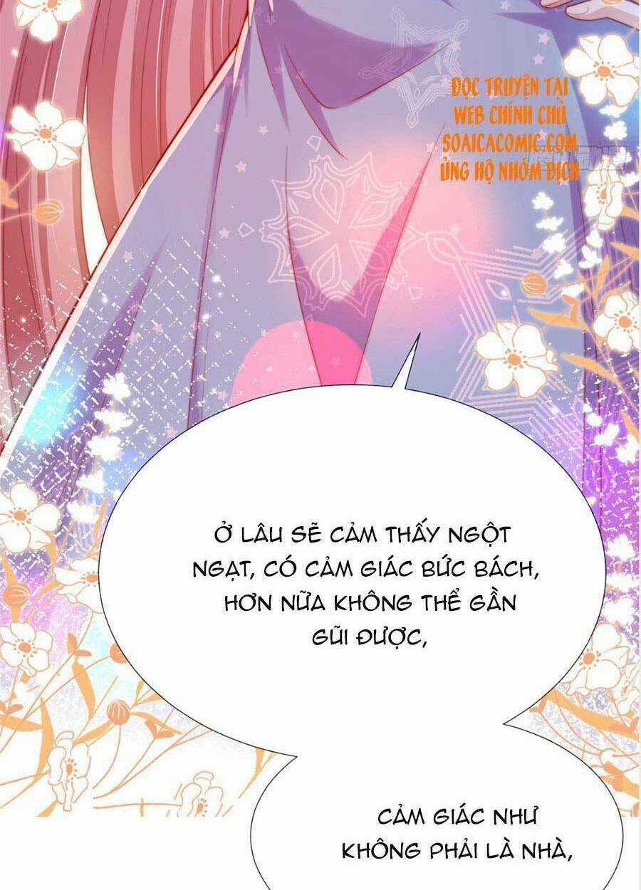 Tôi Được Năm Đại Lão Chiều Chuộng Hết Nấc Chapter 29 trang 26