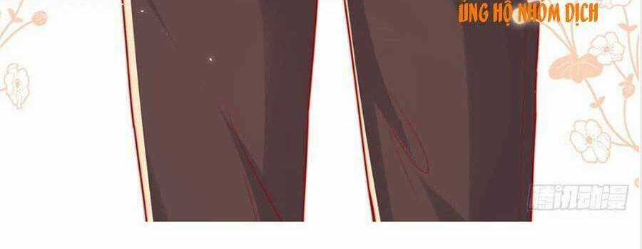 Tôi Được Năm Đại Lão Chiều Chuộng Hết Nấc Chapter 29 trang 40