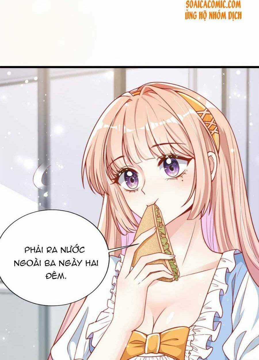 Tôi Được Năm Đại Lão Chiều Chuộng Hết Nấc Chapter 31 trang 12