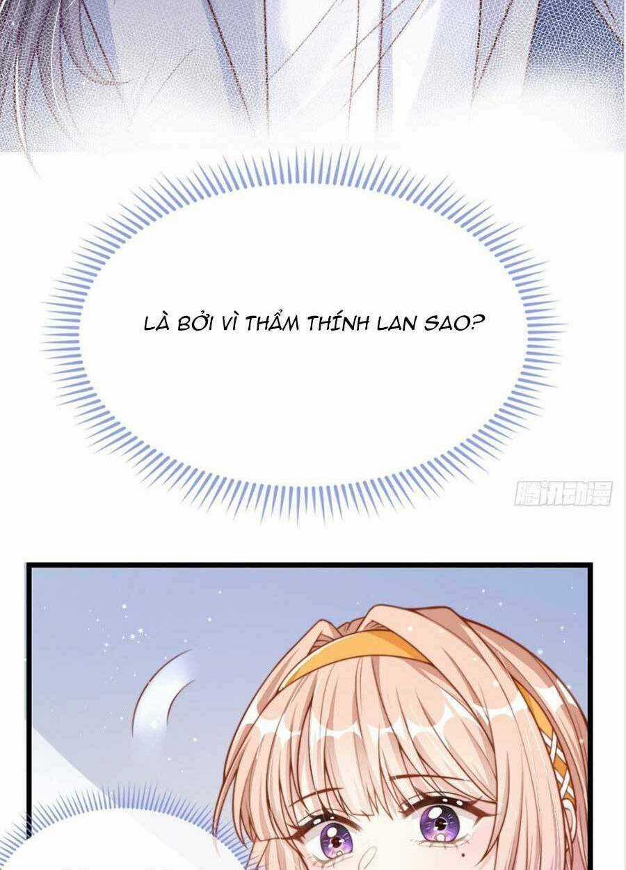 Tôi Được Năm Đại Lão Chiều Chuộng Hết Nấc Chapter 31 trang 32