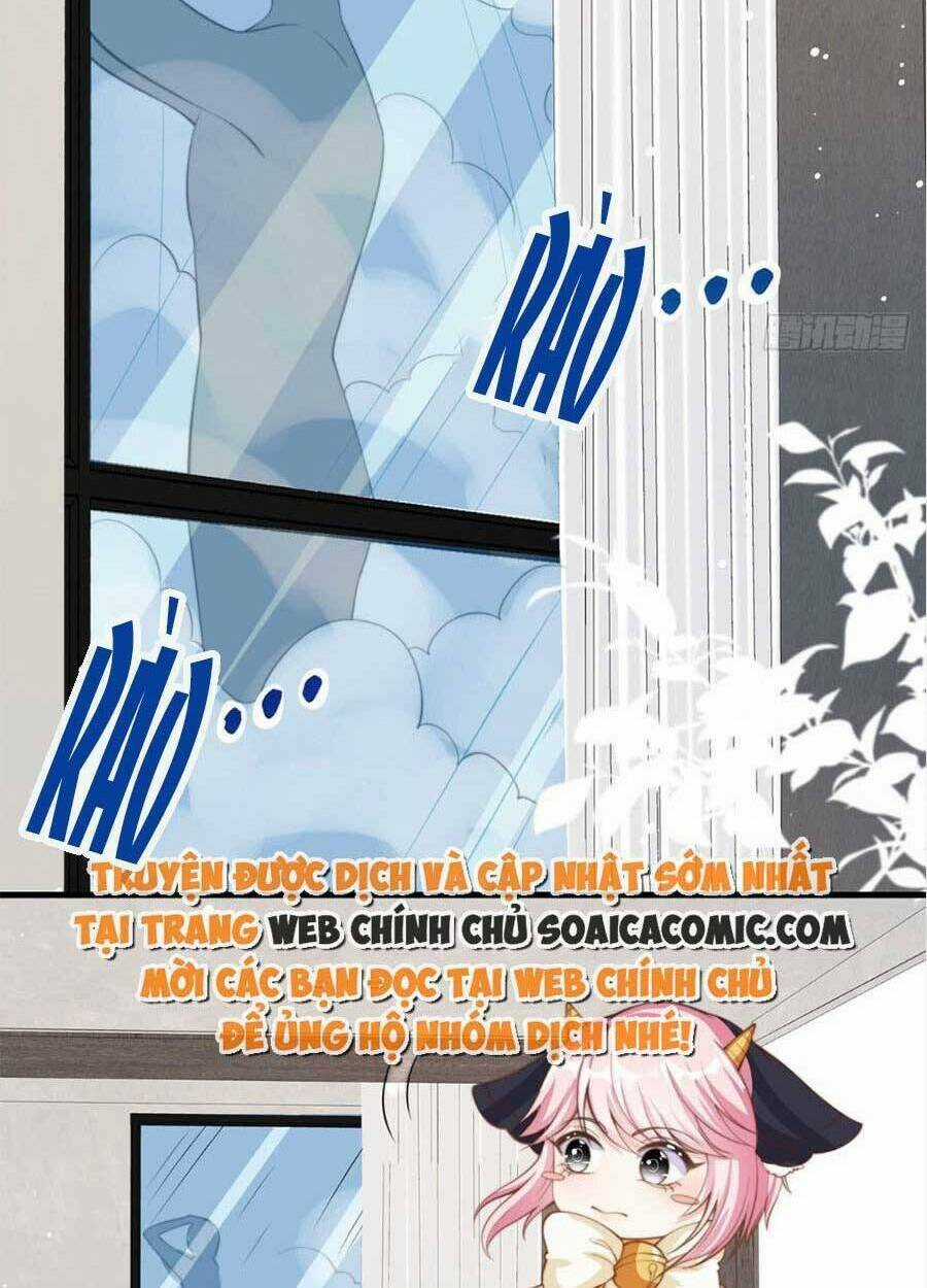 Tôi Được Năm Đại Lão Chiều Chuộng Hết Nấc Chapter 36 trang 14