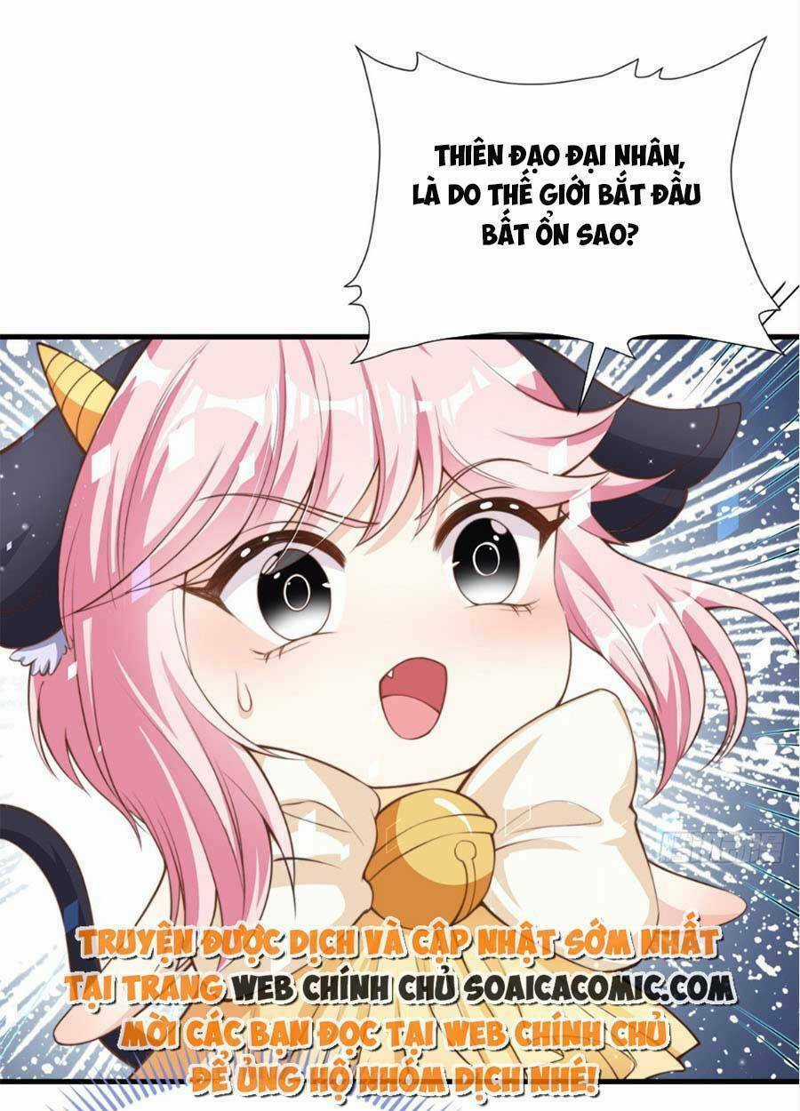 Tôi Được Năm Đại Lão Chiều Chuộng Hết Nấc Chapter 36 trang 8