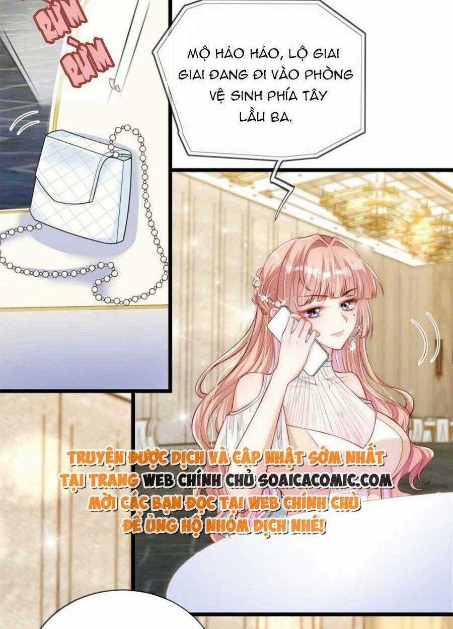 Tôi Được Năm Đại Lão Chiều Chuộng Hết Nấc Chapter 39 trang 15