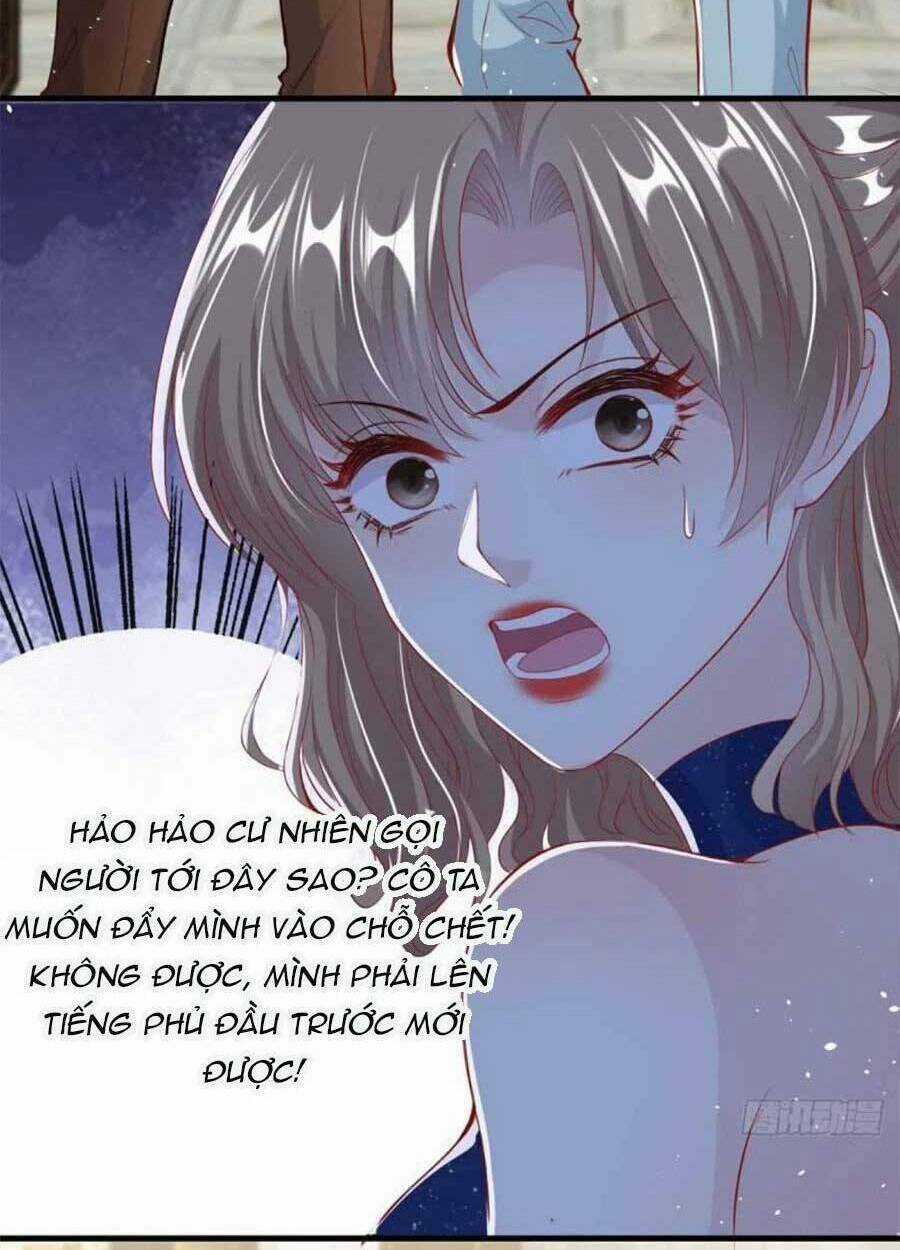 Tôi Được Năm Đại Lão Chiều Chuộng Hết Nấc Chapter 40 trang 12