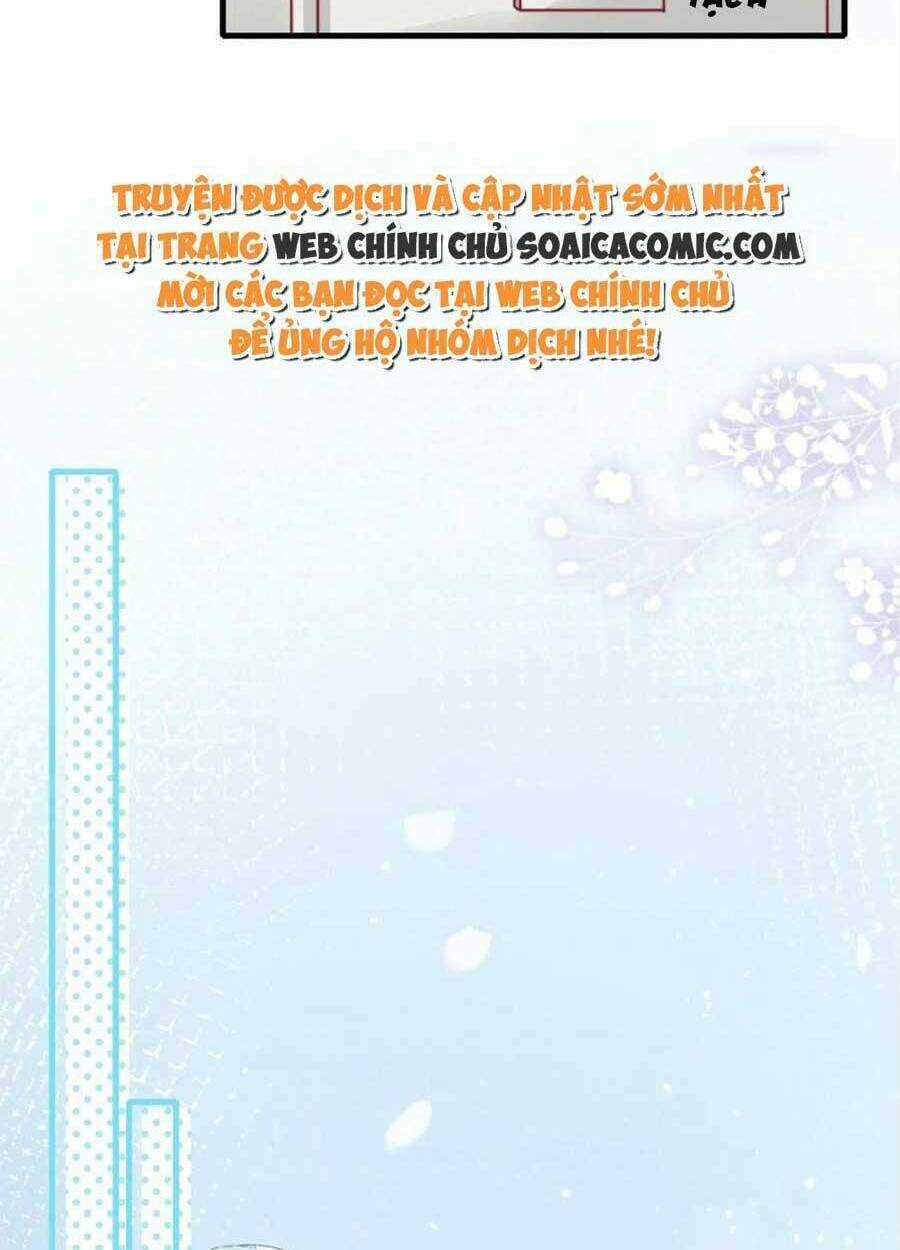 Tôi Được Năm Đại Lão Chiều Chuộng Hết Nấc Chapter 41 trang 15