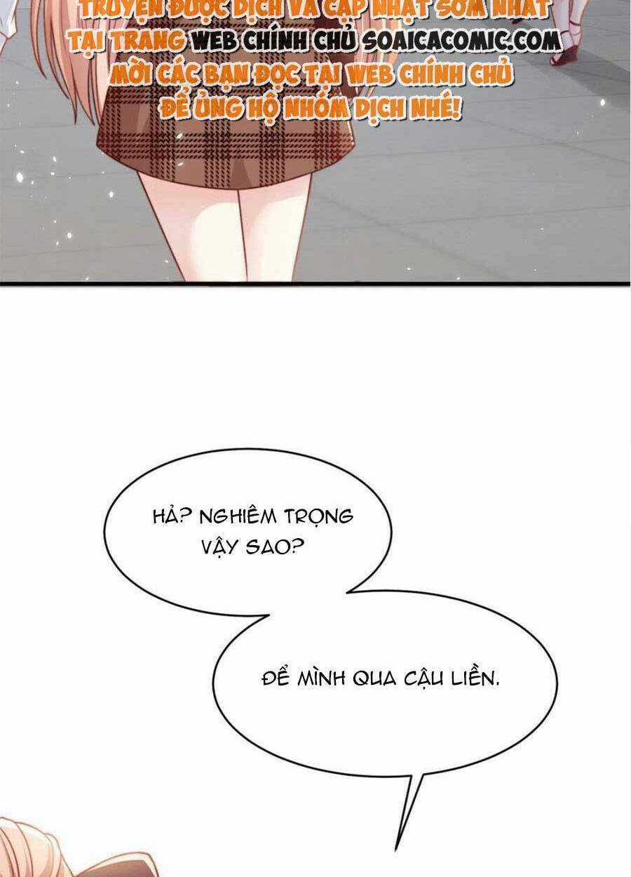 Tôi Được Năm Đại Lão Chiều Chuộng Hết Nấc Chapter 41 trang 41