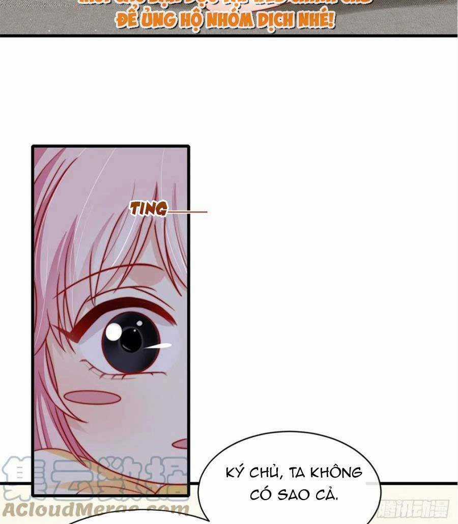 Tôi Được Năm Đại Lão Chiều Chuộng Hết Nấc Chapter 41 trang 8