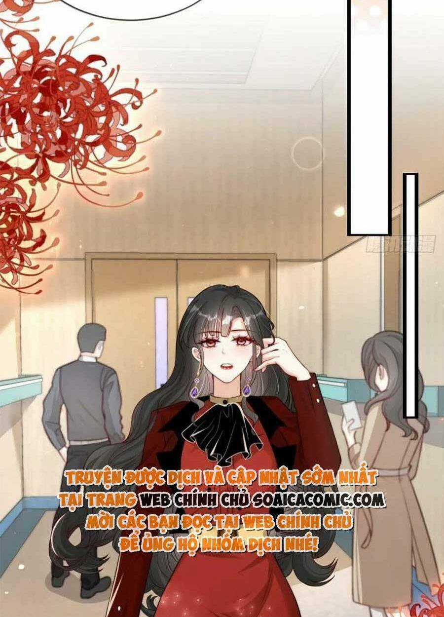 Tôi Được Năm Đại Lão Chiều Chuộng Hết Nấc Chapter 42 trang 20