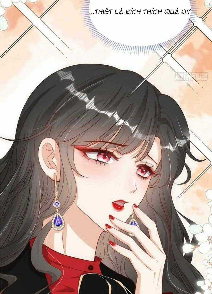 Tôi Được Năm Đại Lão Chiều Chuộng Hết Nấc Chapter 42 trang 33