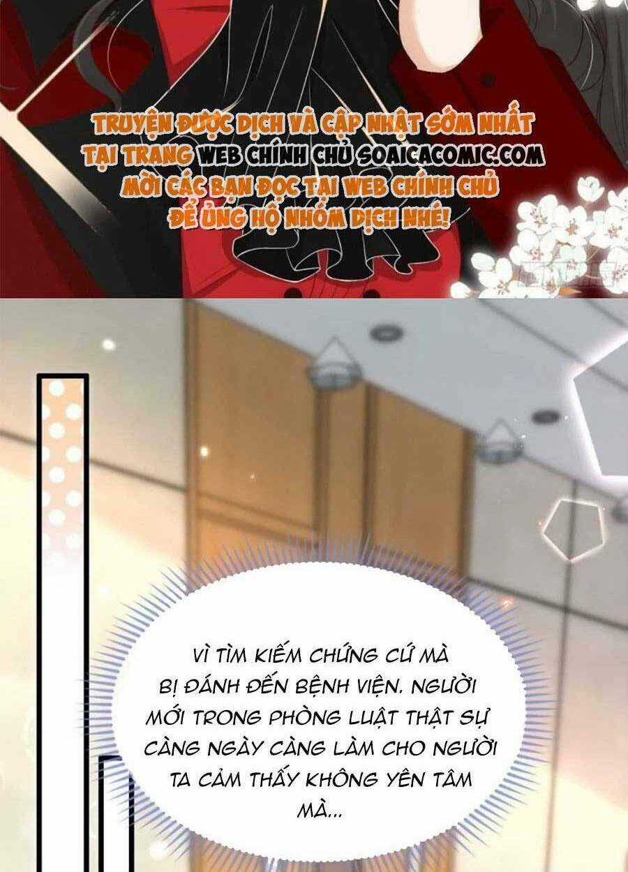 Tôi Được Năm Đại Lão Chiều Chuộng Hết Nấc Chapter 42 trang 34