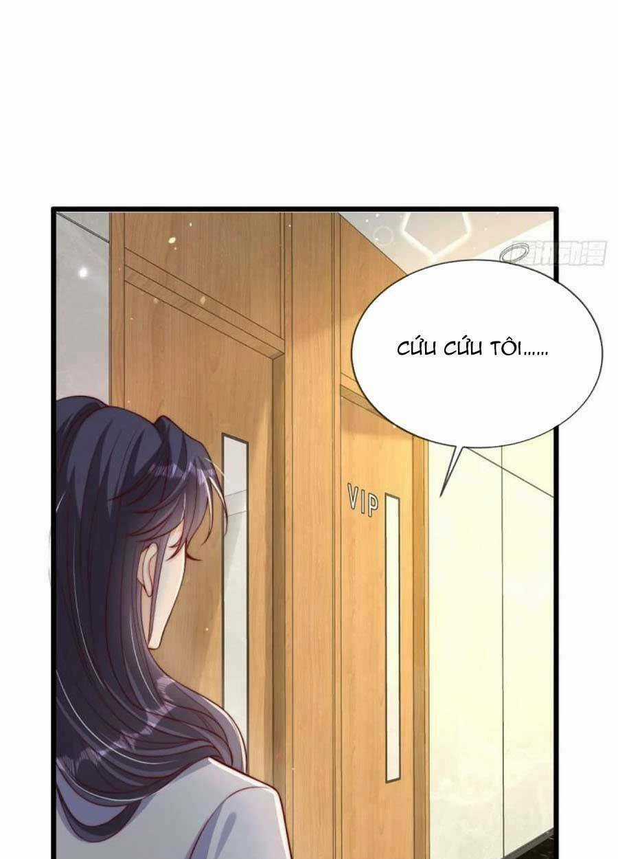 Tôi Được Năm Đại Lão Chiều Chuộng Hết Nấc Chapter 42 trang 37