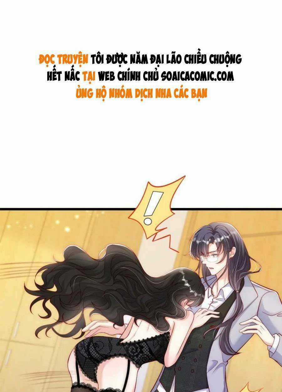 Tôi Được Năm Đại Lão Chiều Chuộng Hết Nấc Chapter 43 trang 0