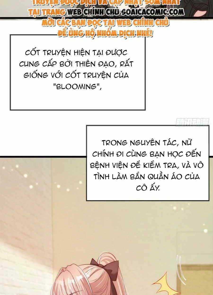 Tôi Được Năm Đại Lão Chiều Chuộng Hết Nấc Chapter 43 trang 13