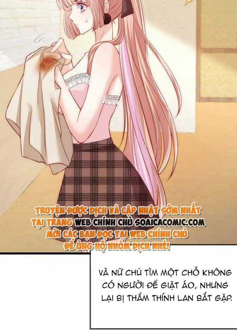 Tôi Được Năm Đại Lão Chiều Chuộng Hết Nấc Chapter 43 trang 14