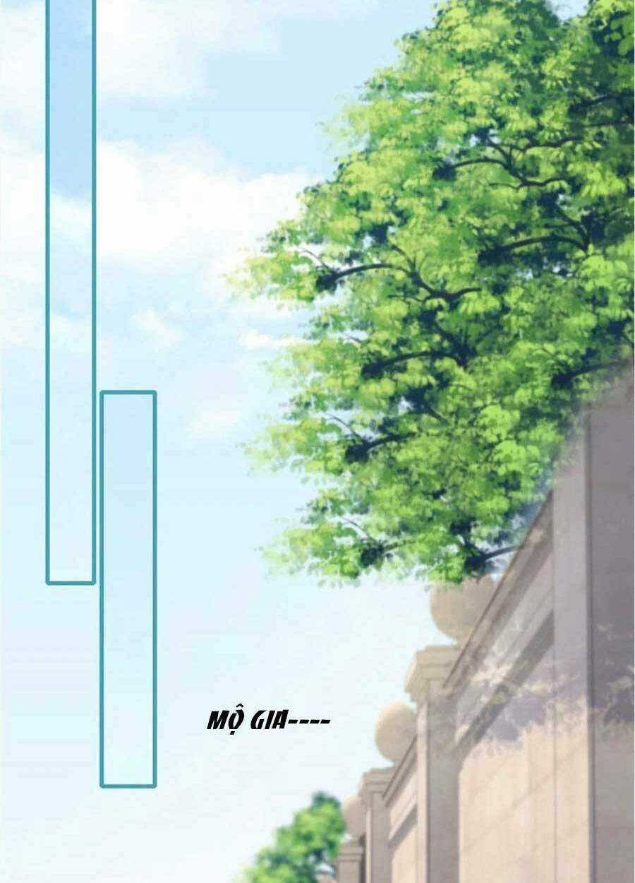 Tôi Được Năm Đại Lão Chiều Chuộng Hết Nấc Chapter 46 trang 31