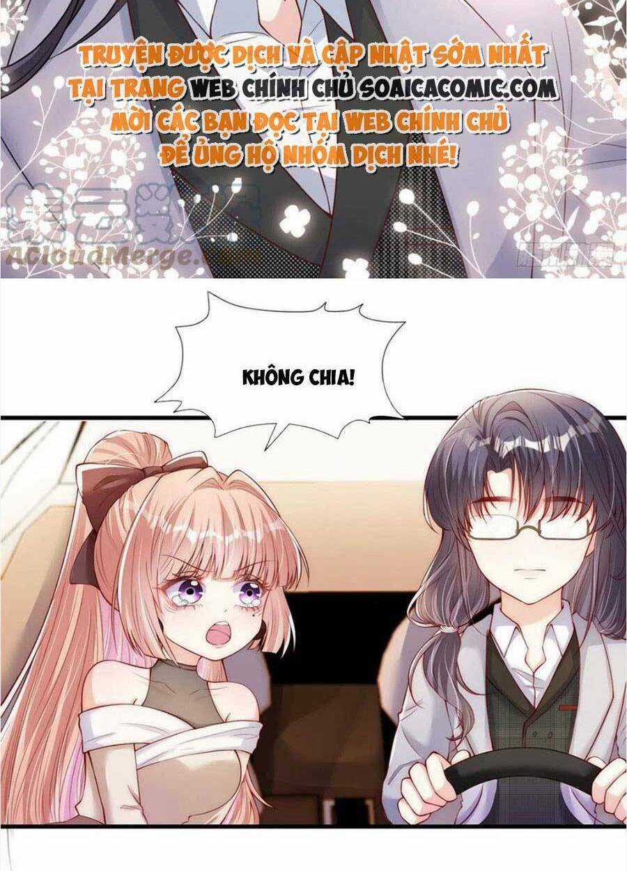 Tôi Được Năm Đại Lão Chiều Chuộng Hết Nấc Chapter 46 trang 6