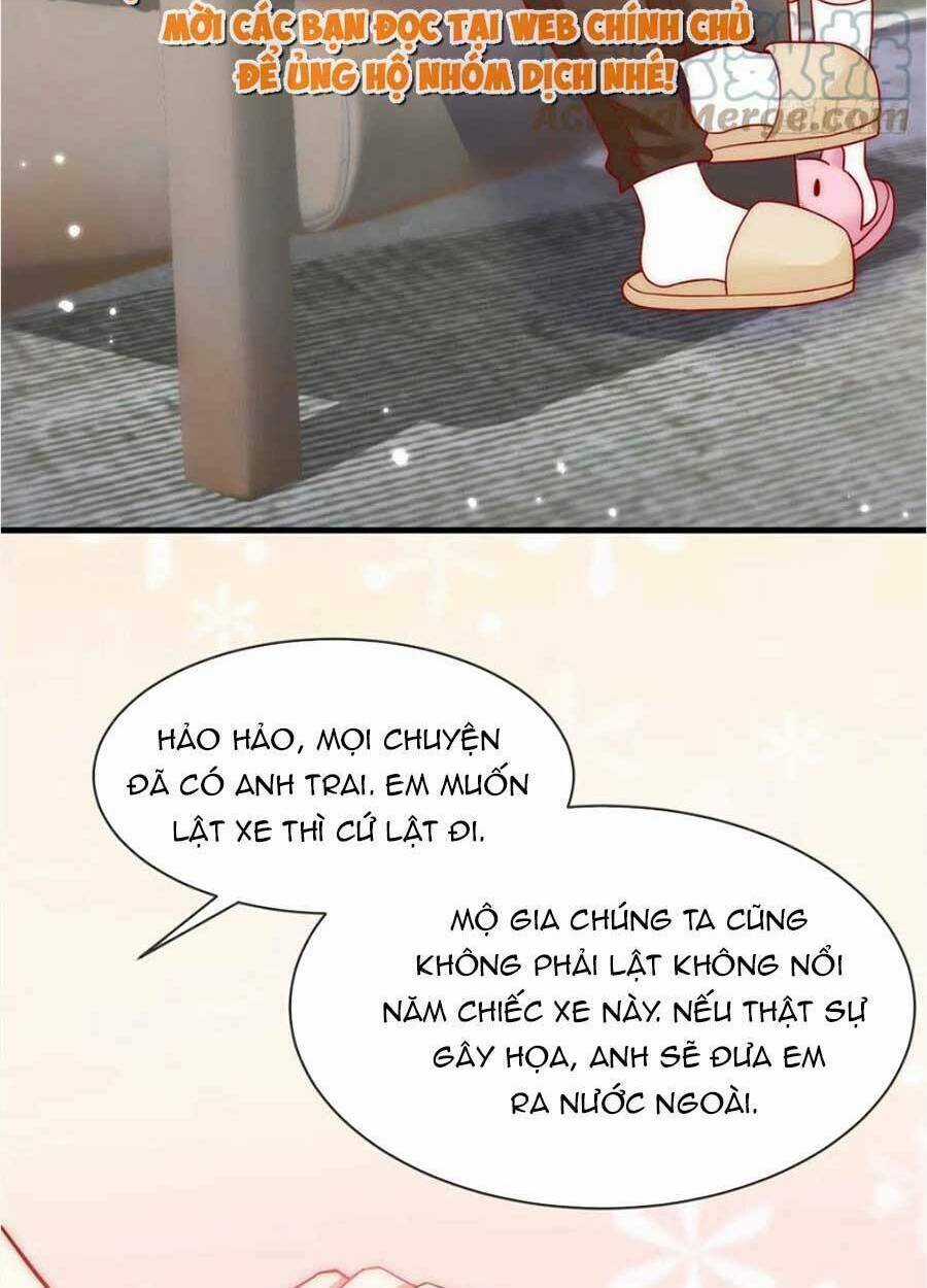 Tôi Được Năm Đại Lão Chiều Chuộng Hết Nấc Chapter 47 trang 45