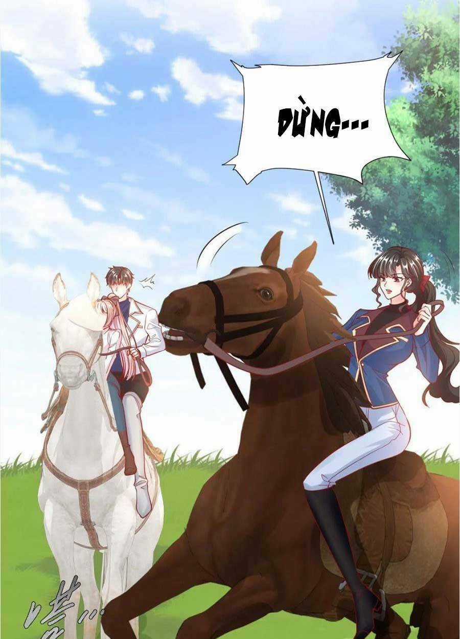 Tôi Được Năm Đại Lão Chiều Chuộng Hết Nấc Chapter 49 trang 17