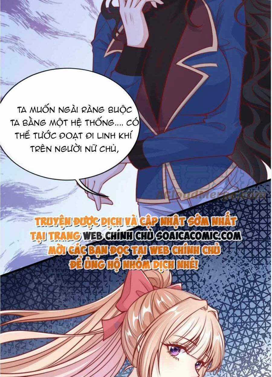 Tôi Được Năm Đại Lão Chiều Chuộng Hết Nấc Chapter 50 trang 11