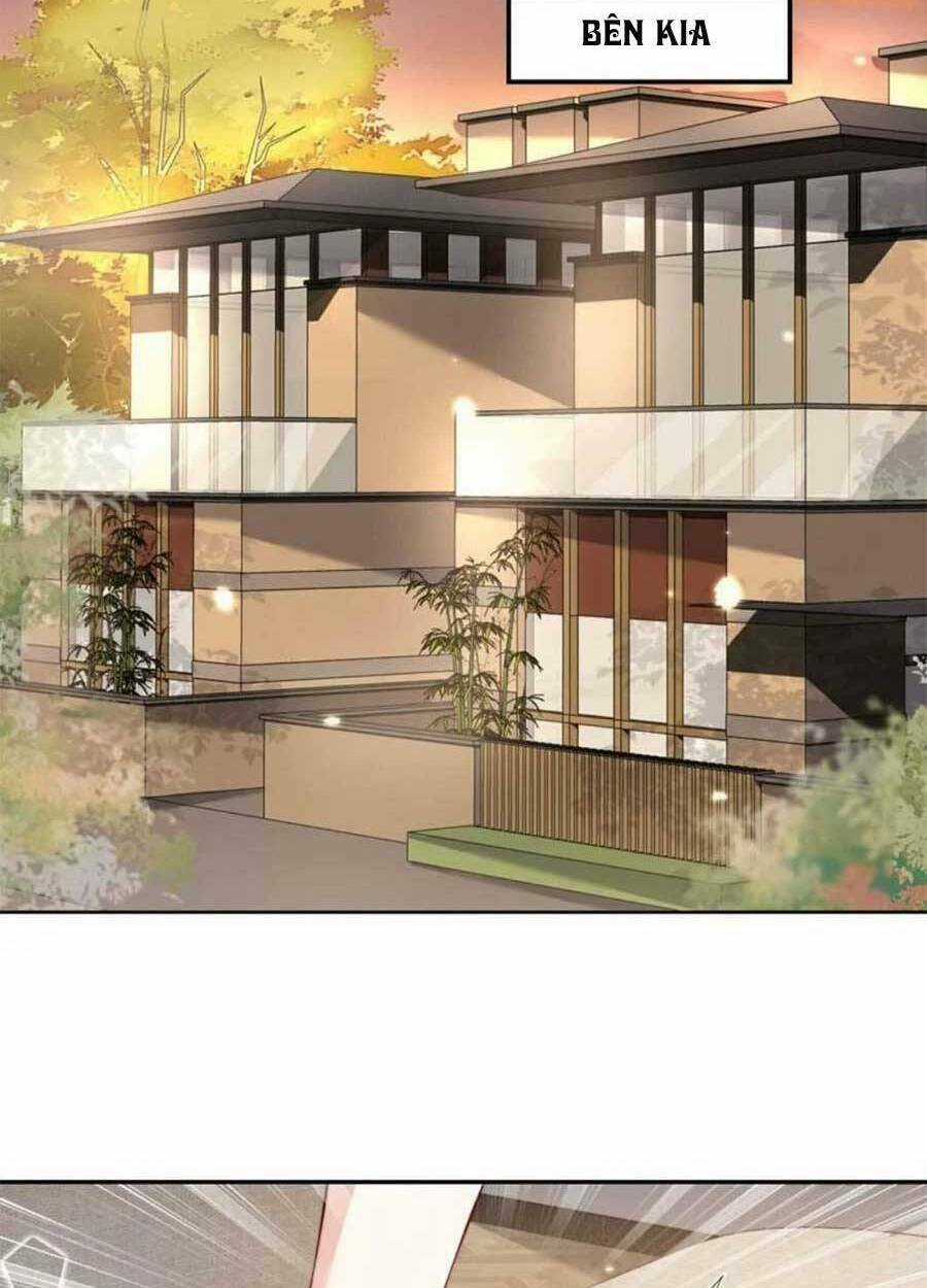 Tôi Được Năm Đại Lão Chiều Chuộng Hết Nấc Chapter 52 trang 11