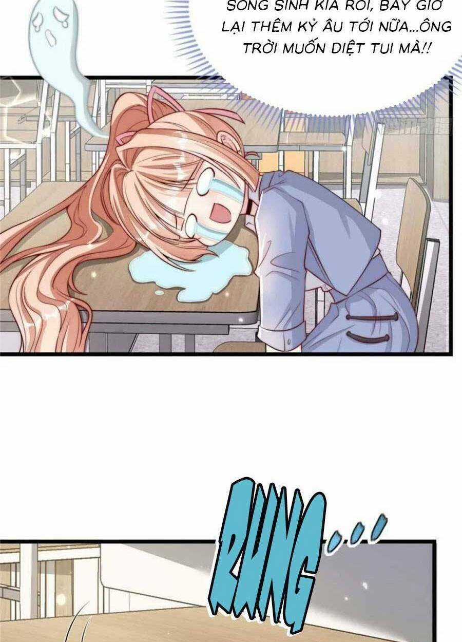 Tôi Được Năm Đại Lão Chiều Chuộng Hết Nấc Chapter 52 trang 24